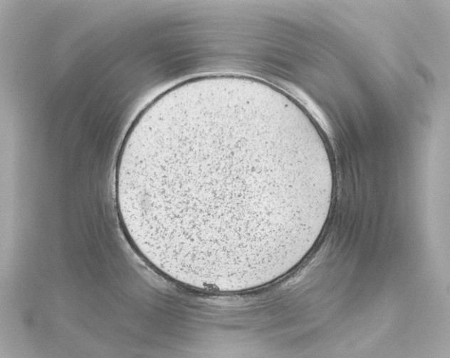 X0000114431388200911271609