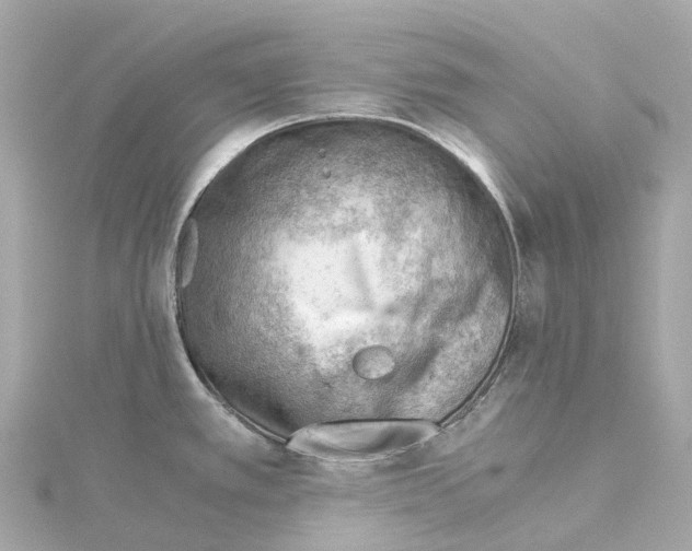 X0000114431389200911271609