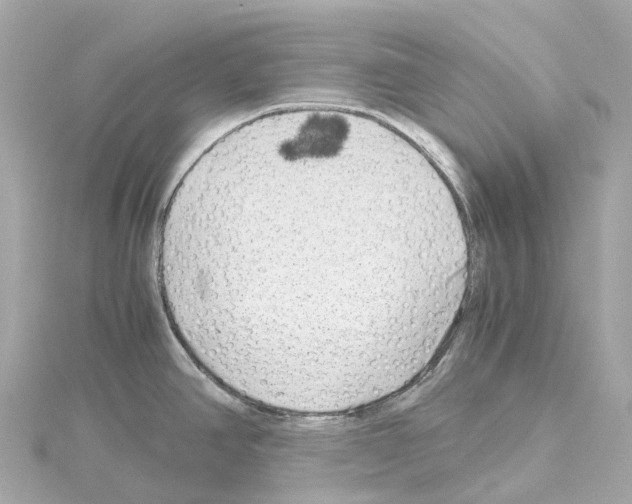 X0000114431390200911271608