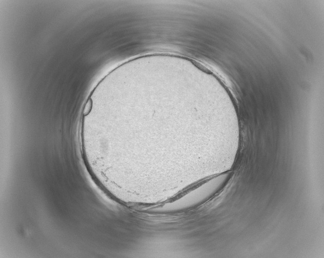 X0000114431391200911271608