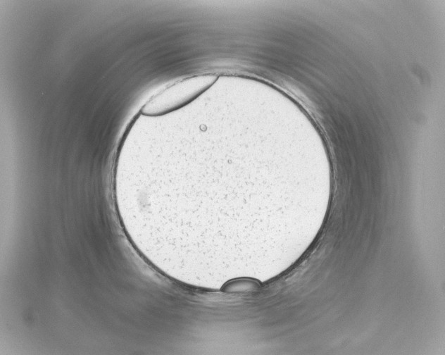 X0000114431392200911271608