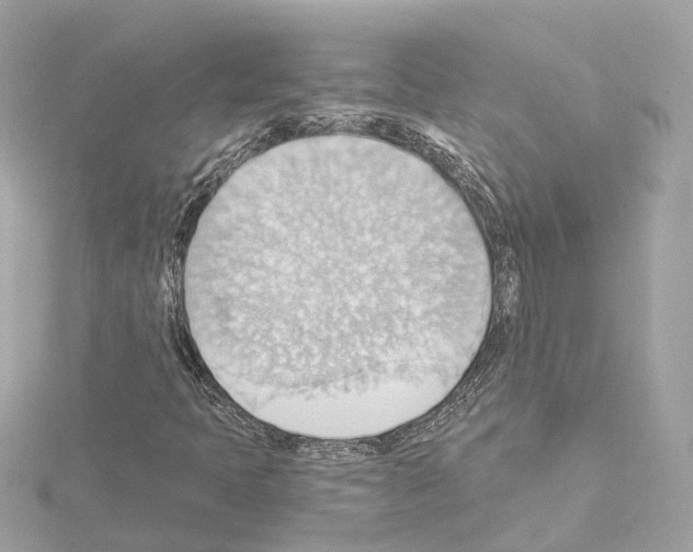 X0000114431397200911271608