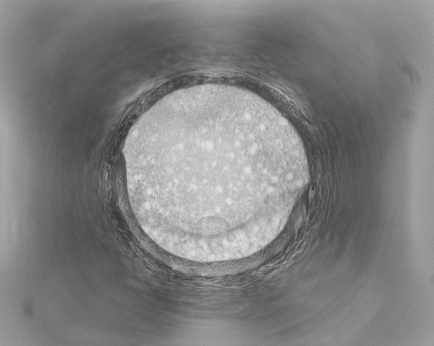 X0000114431398200911271608