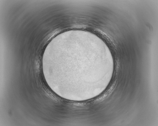 X0000114431401200911271608