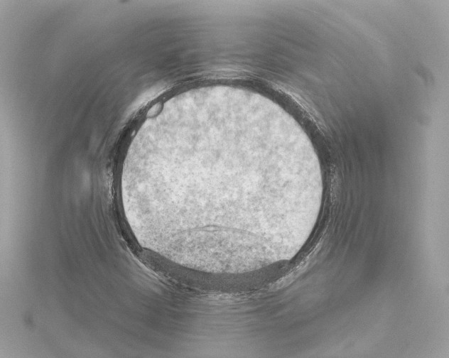 X0000114431402200911271608