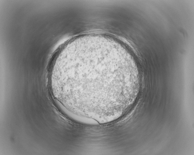 X0000114431406200911271608