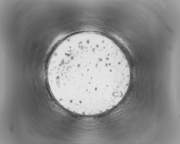 X0000114431408200911271608