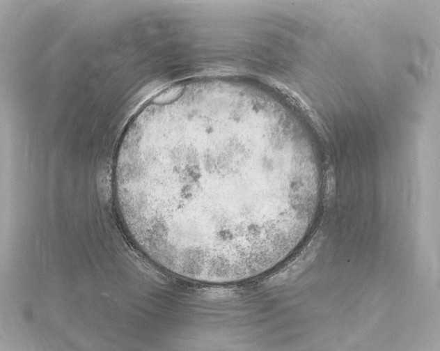 X0000114431409200911271608