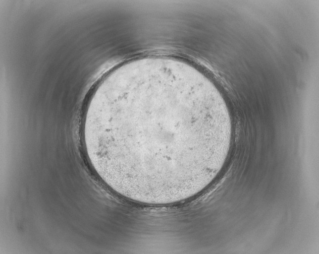 X0000114431410200911271608