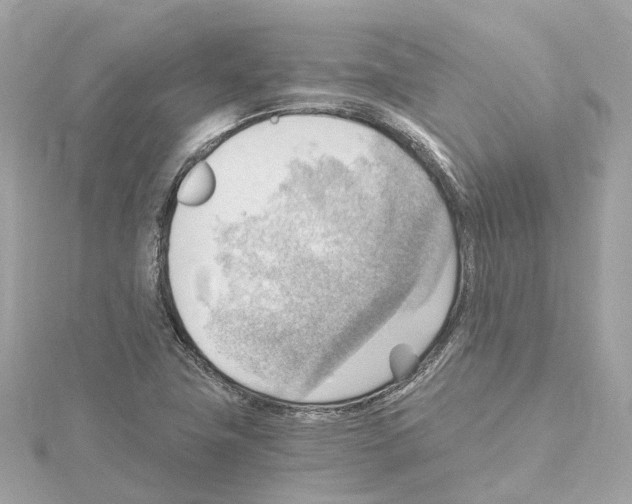 X0000114431411200911271608