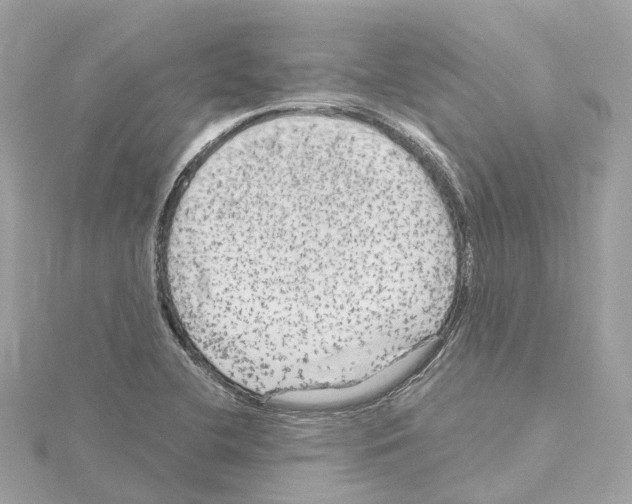 X0000114431412200911271608