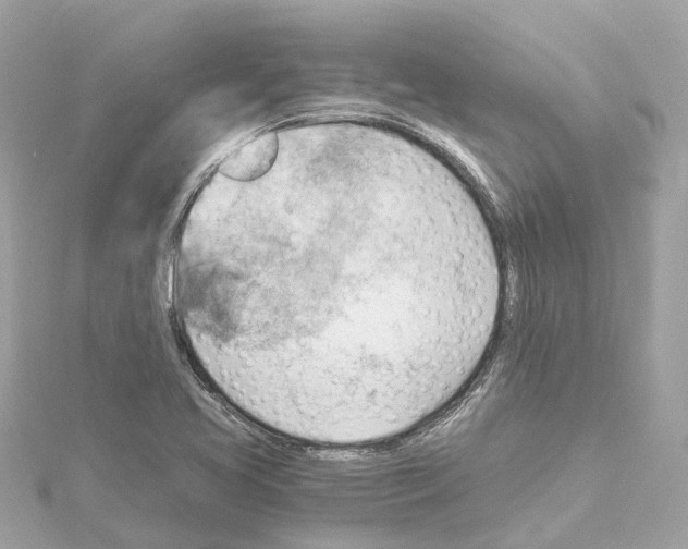 X0000114431413200911271608