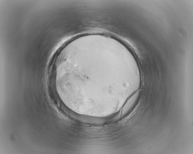 X0000114431414200911271608