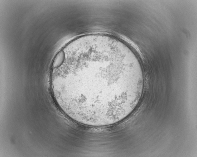 X0000114431415200911271608