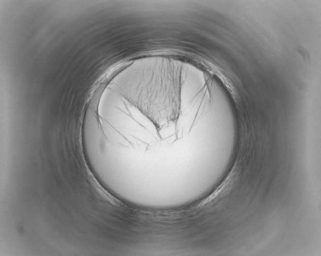 X0000114431417200911271608