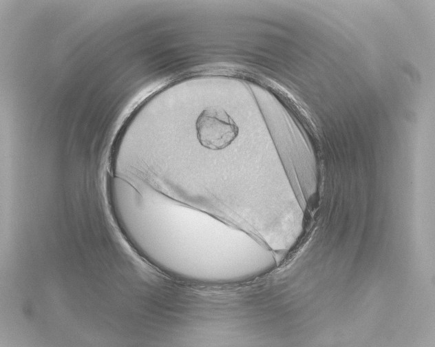 X0000114431418200911271608