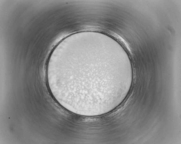 X0000114431419200911271608