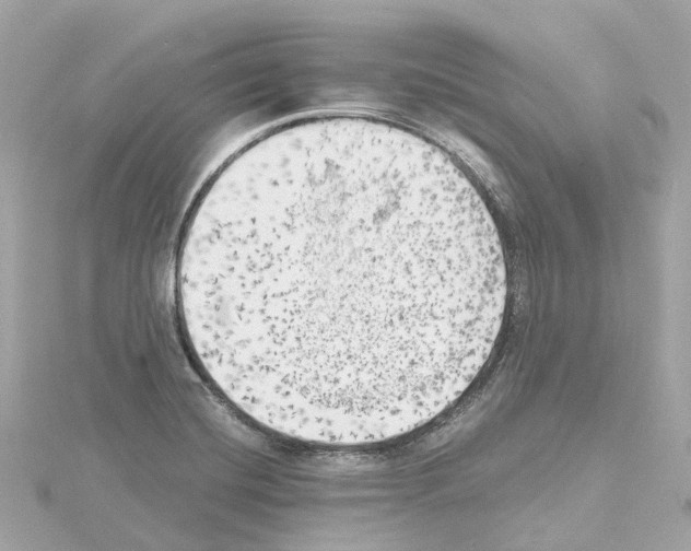 X0000114431420200911271608