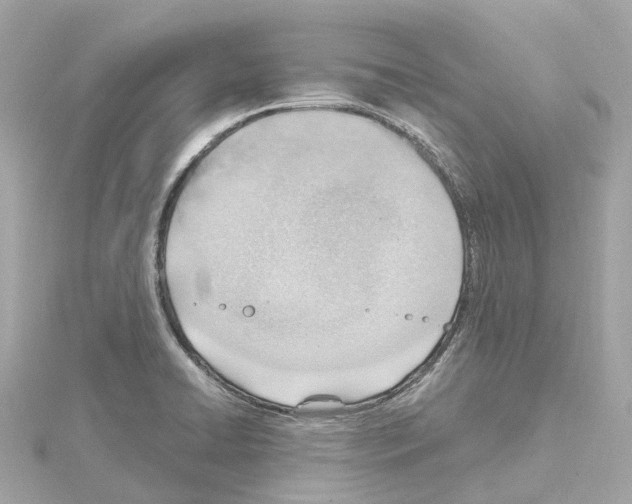 X0000114431422200911271608