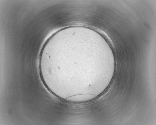 X0000114431424200911271608