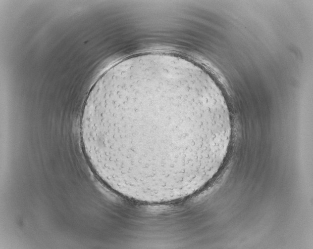 X0000114431425200911271608