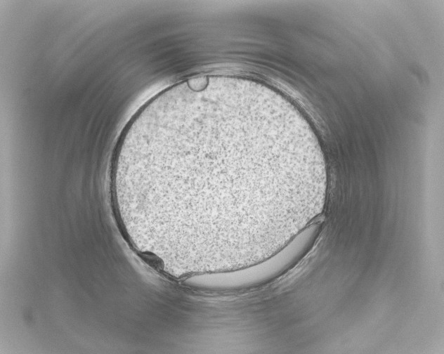 X0000114431426200911271608