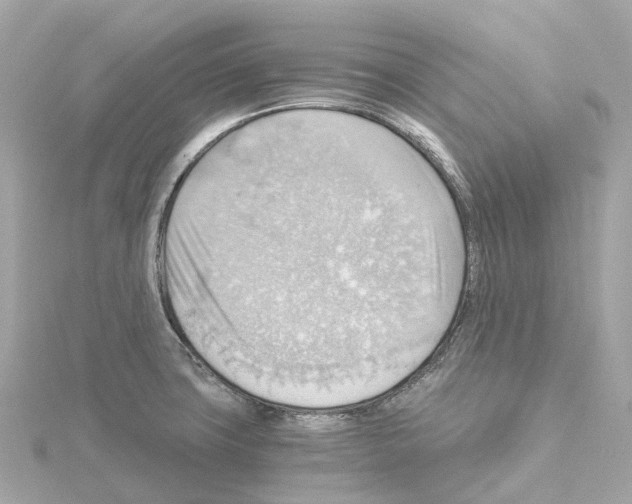 X0000114431427200911271608