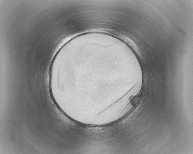 X0000114431428200911271608