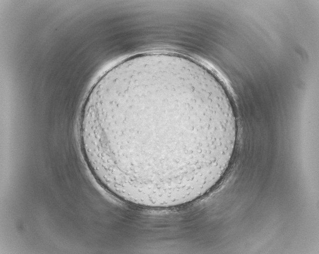 X0000114431429200911271608