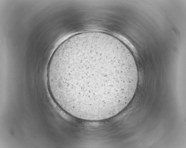 X0000114431431200911271608