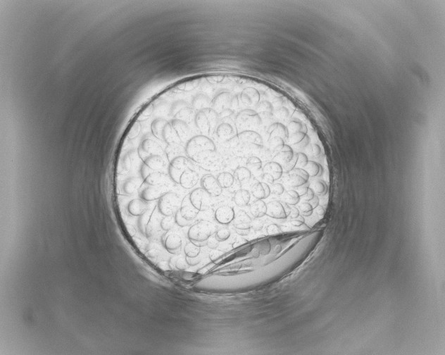 X0000114431432200911271608