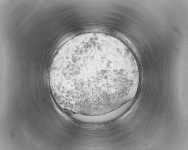 X0000114431433200911271608