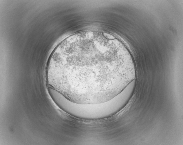 X0000114431434200911271608