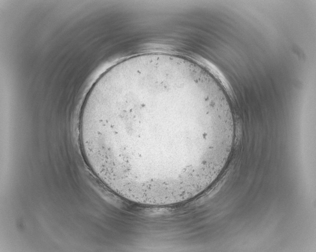 X0000114431435200911271608