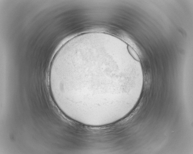 X0000114431436200911271608