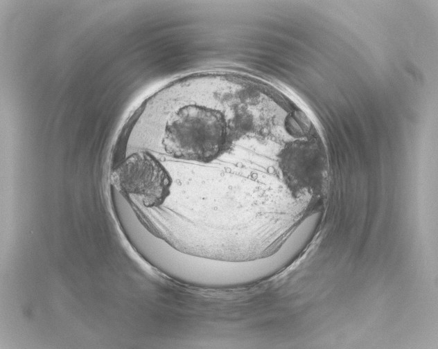 X0000114431437200911271608