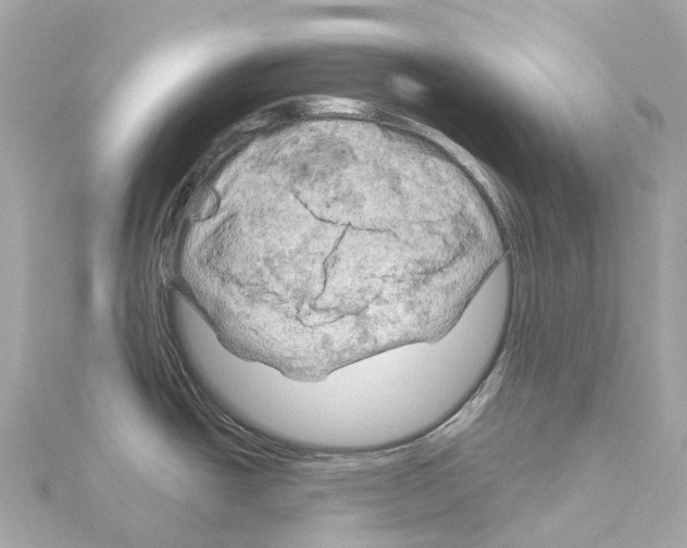 X0000114431438200911271608