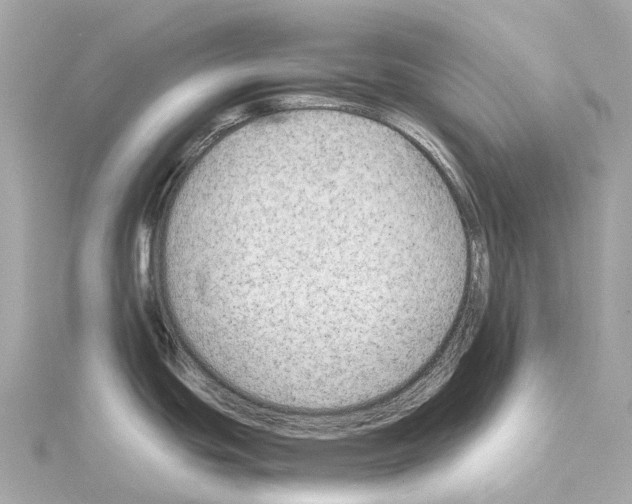 X0000114431439200911271608