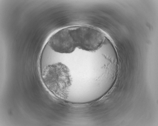 X0000114431440200911271608