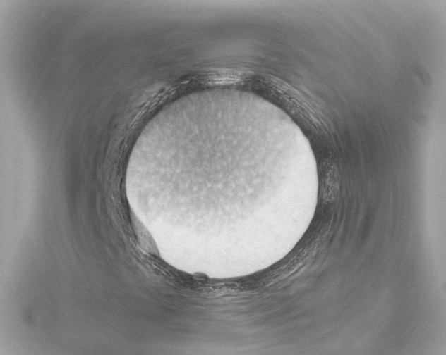 X0000114431441200911271608