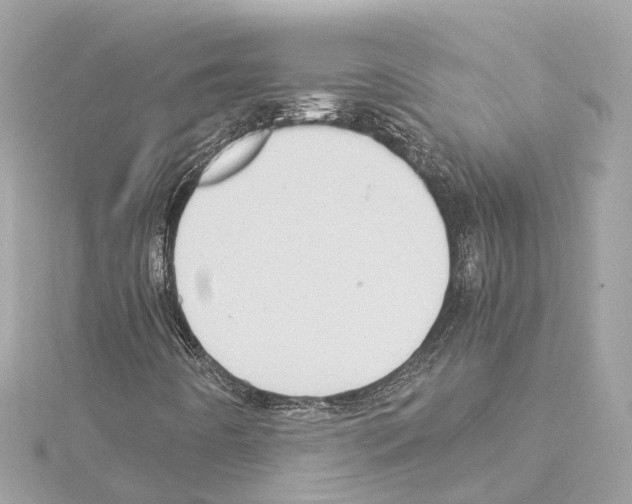 X0000114431442200911271608