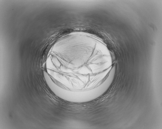 X0000114431444200911271608