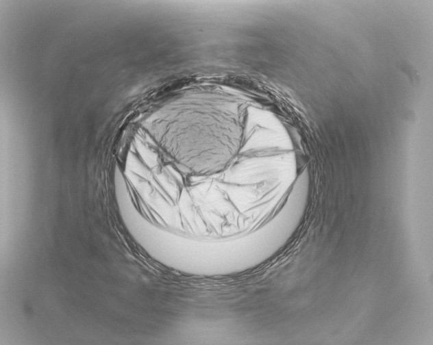 X0000114431445200911271608