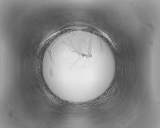 X0000114431448200911271608