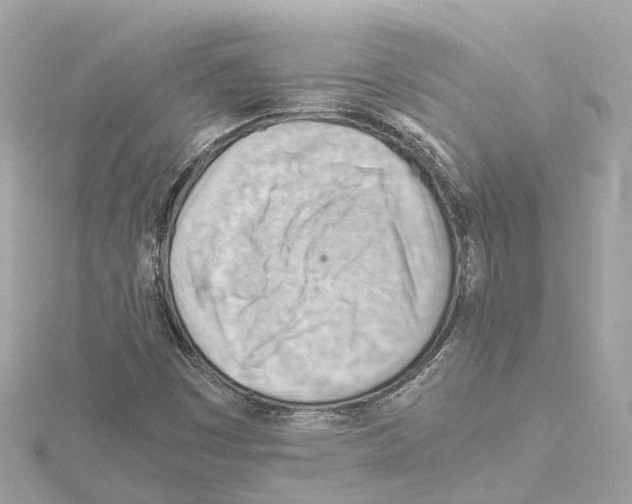 X0000114431449200911271608