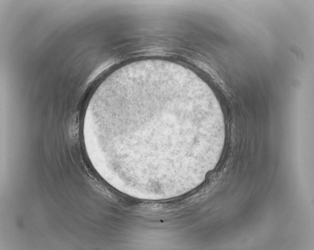 X0000114431450200911271608