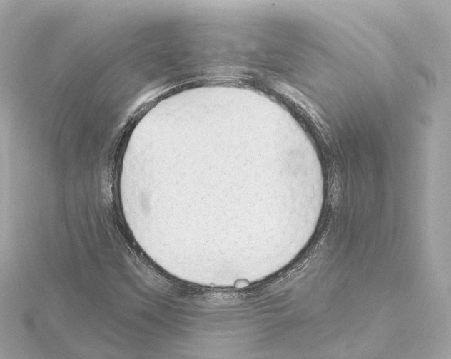 X0000114431451200911271608