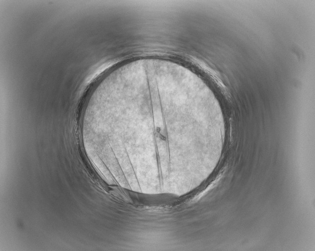 X0000114431453200911271608