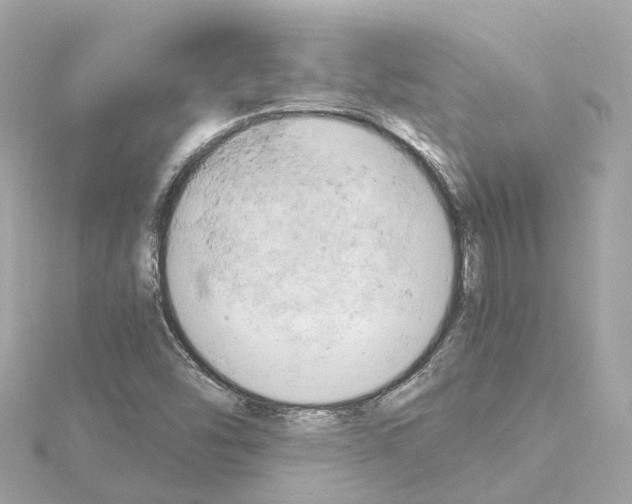 X0000114431454200911271608