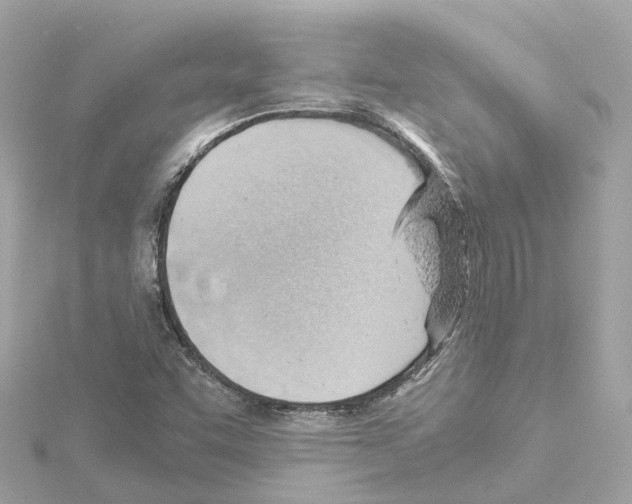 X0000114431455200911271608